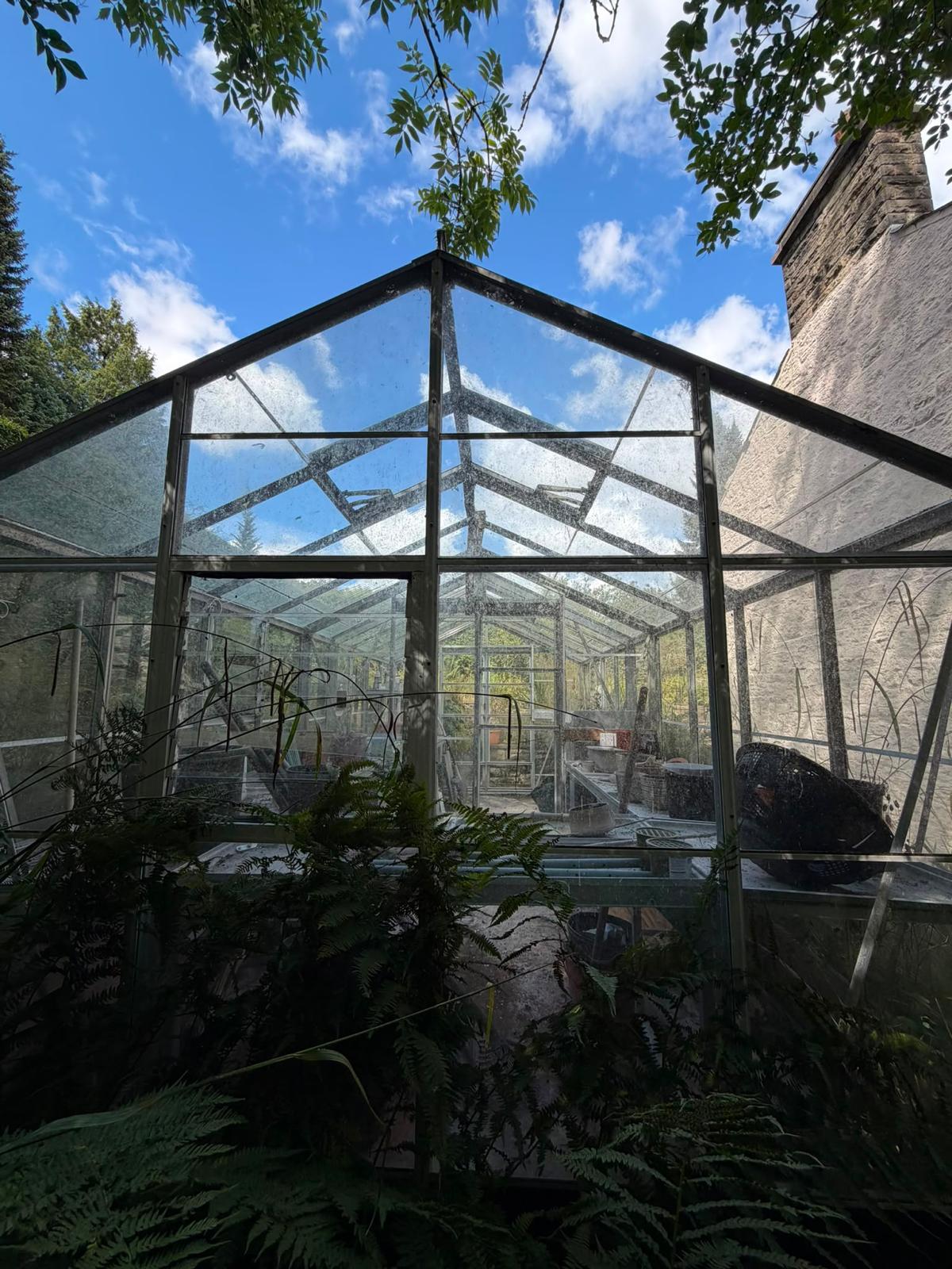 Greenhouse full of ferns beneath a bright blue sky